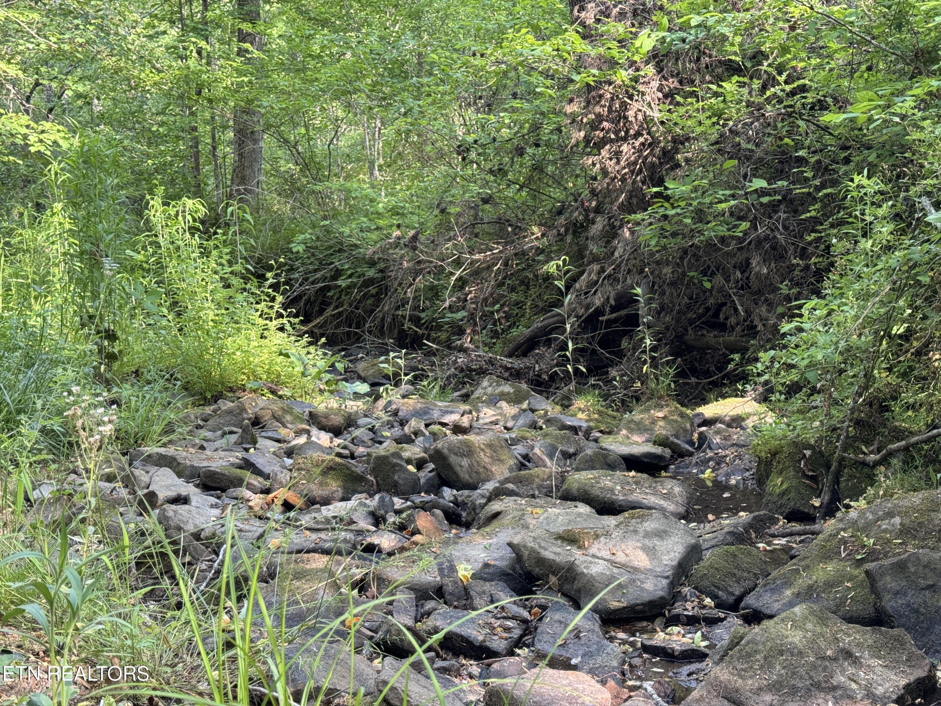 4455 Jonesville Road Clarkrange TN 38553