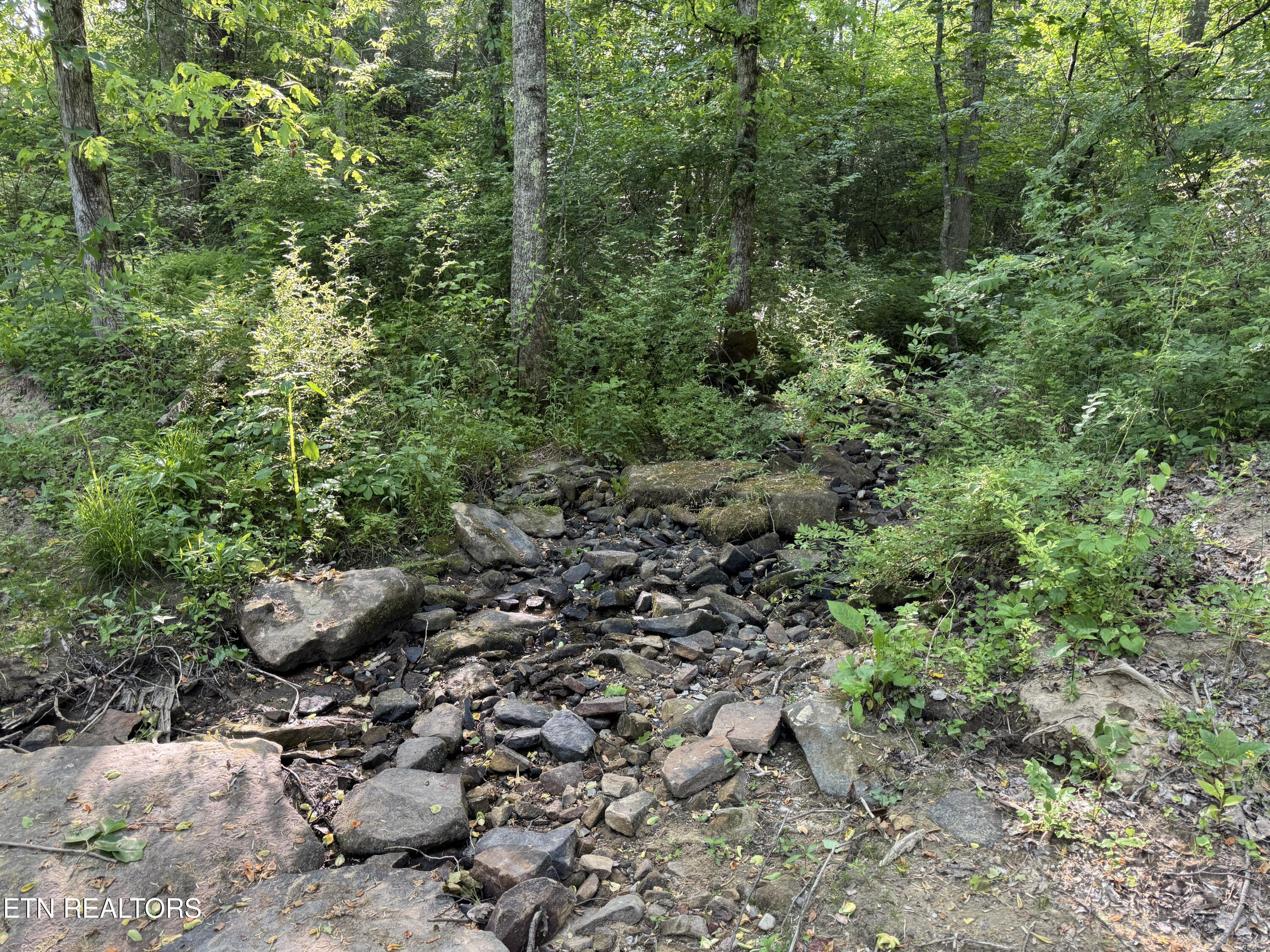 4455 Jonesville Road Clarkrange TN 38553