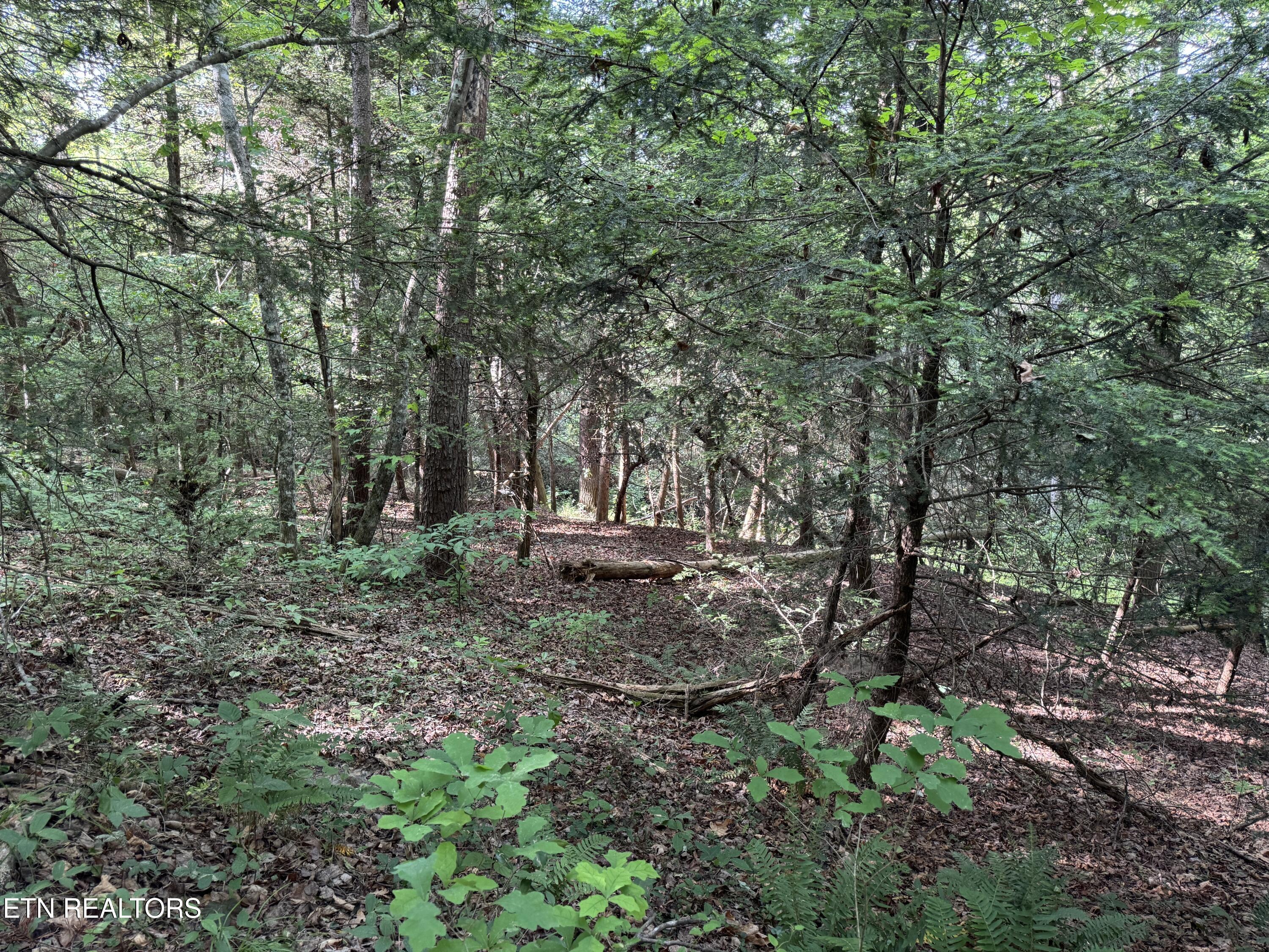 4455 Jonesville Road Clarkrange TN 38553