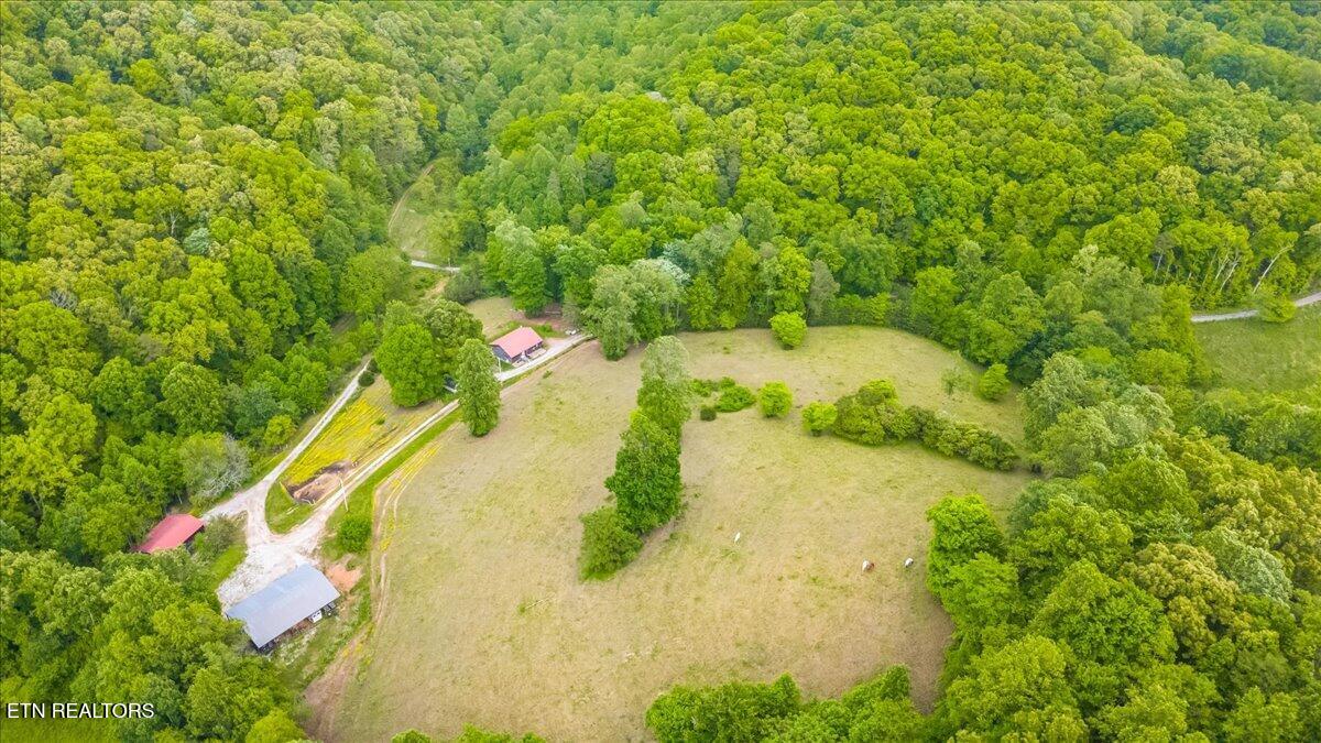 299 Tar Town Hollow Lane Lafollette TN 37766