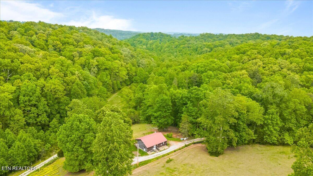 299 Tar Town Hollow Lane Lafollette TN 37766