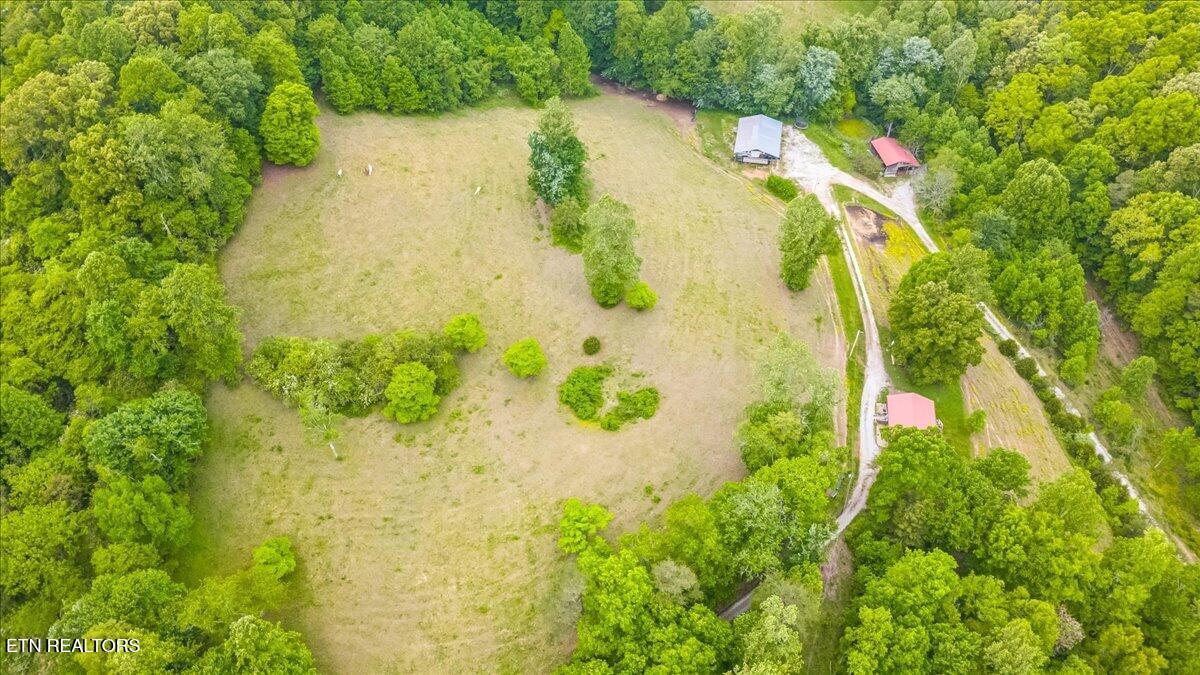299 Tar Town Hollow Lane Lafollette TN 37766