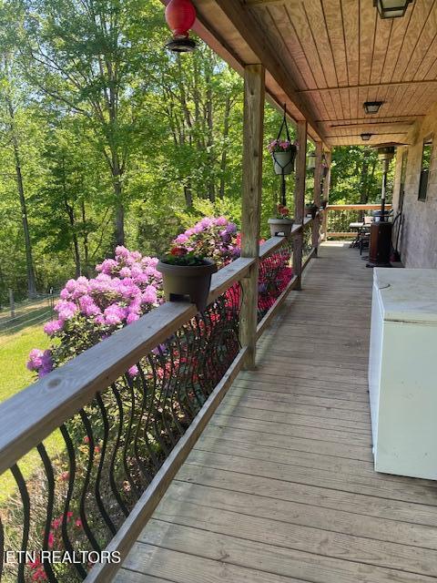 299 Tar Town Hollow Lane Lafollette TN 37766