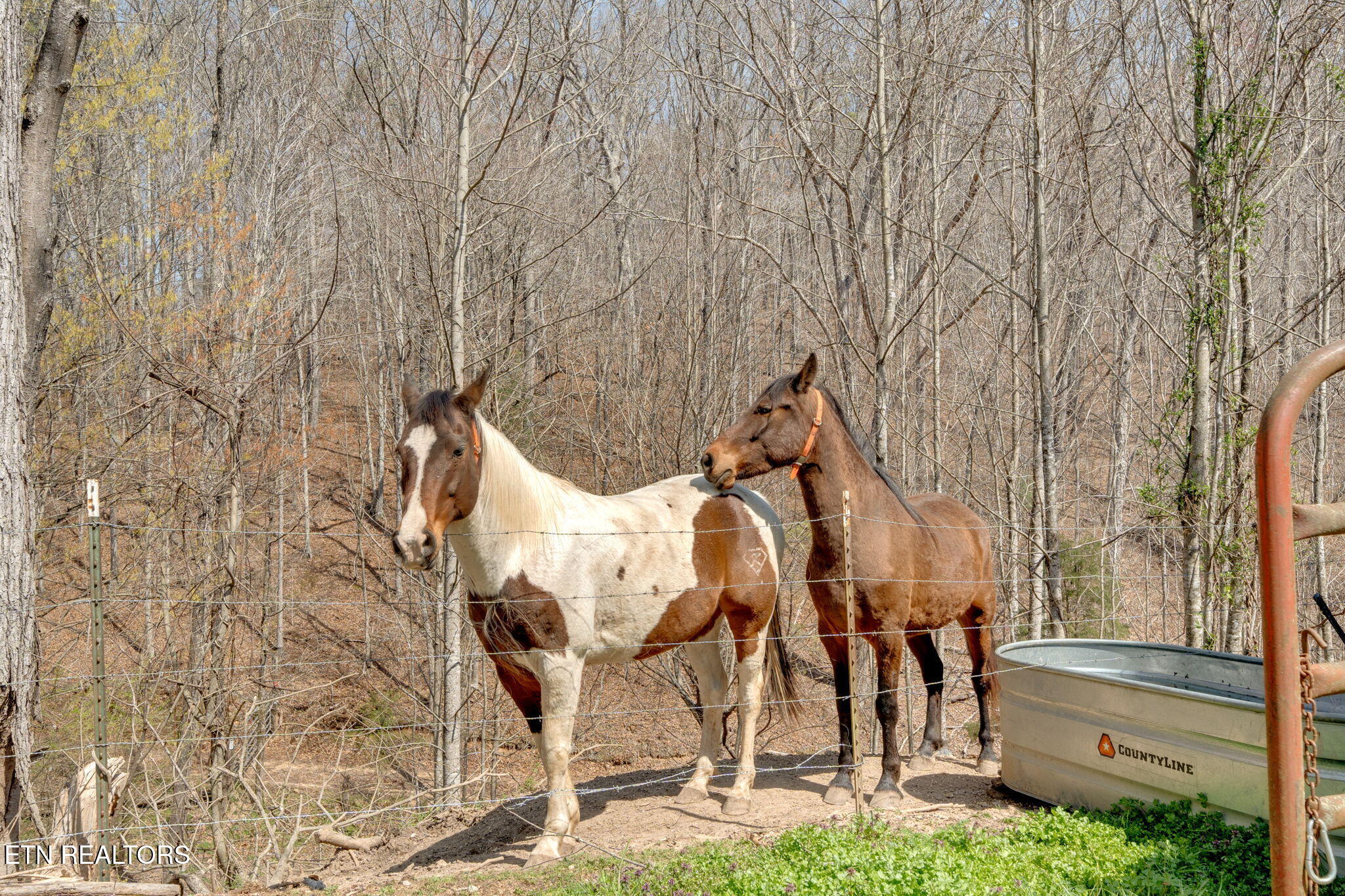 299 Tar Town Hollow Lane Lafollette TN 37766