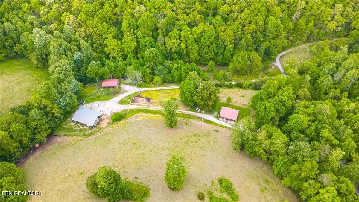 299 Tar Town Hollow Lane Lafollette TN 37766