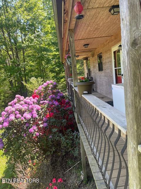 299 Tar Town Hollow Lane Lafollette TN 37766