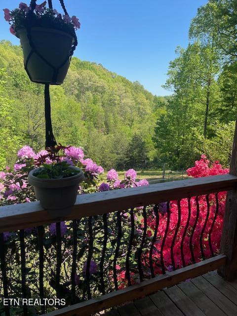 299 Tar Town Hollow Lane Lafollette TN 37766