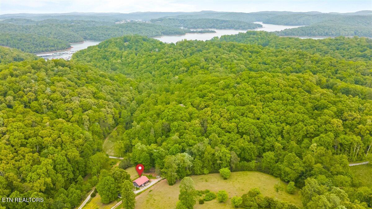 299 Tar Town Hollow Lane Lafollette TN 37766