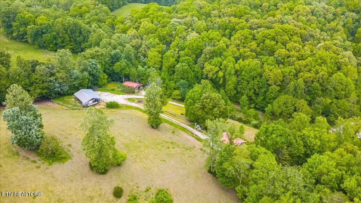 299 Tar Town Hollow Lane Lafollette TN 37766
