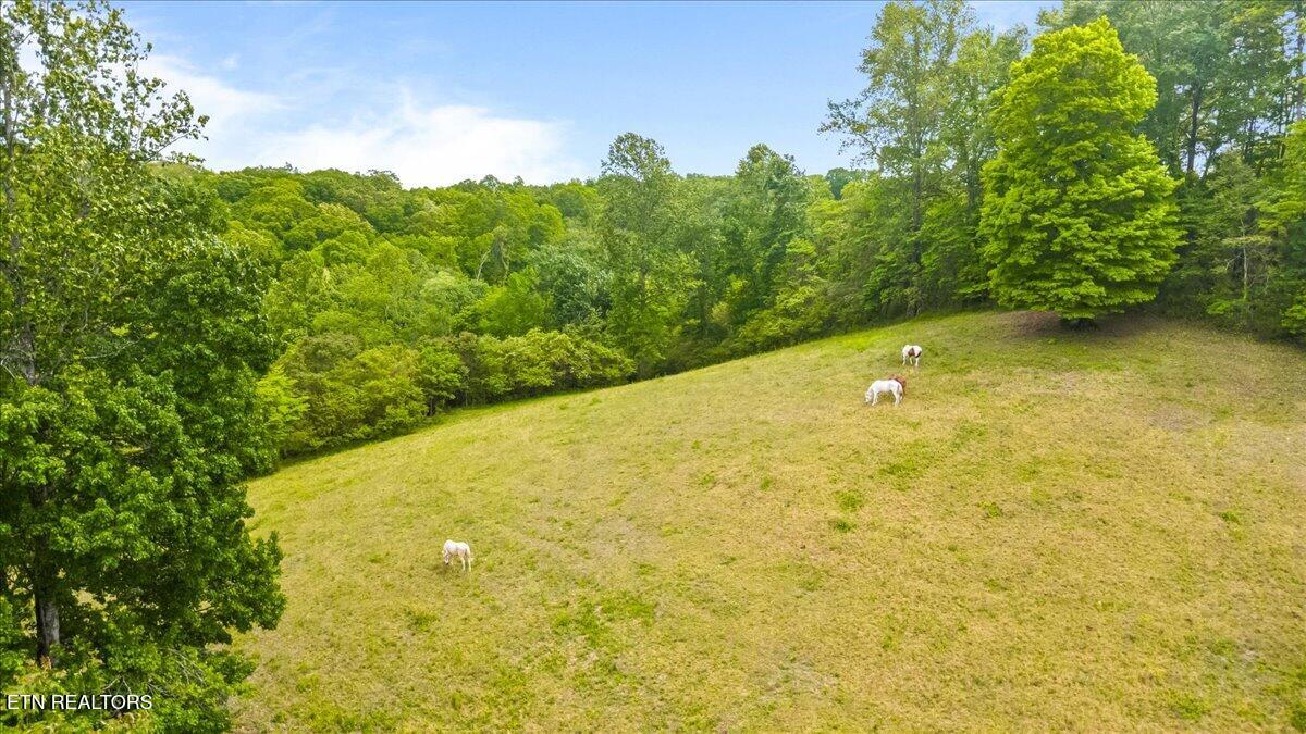 299 Tar Town Hollow Lane Lafollette TN 37766