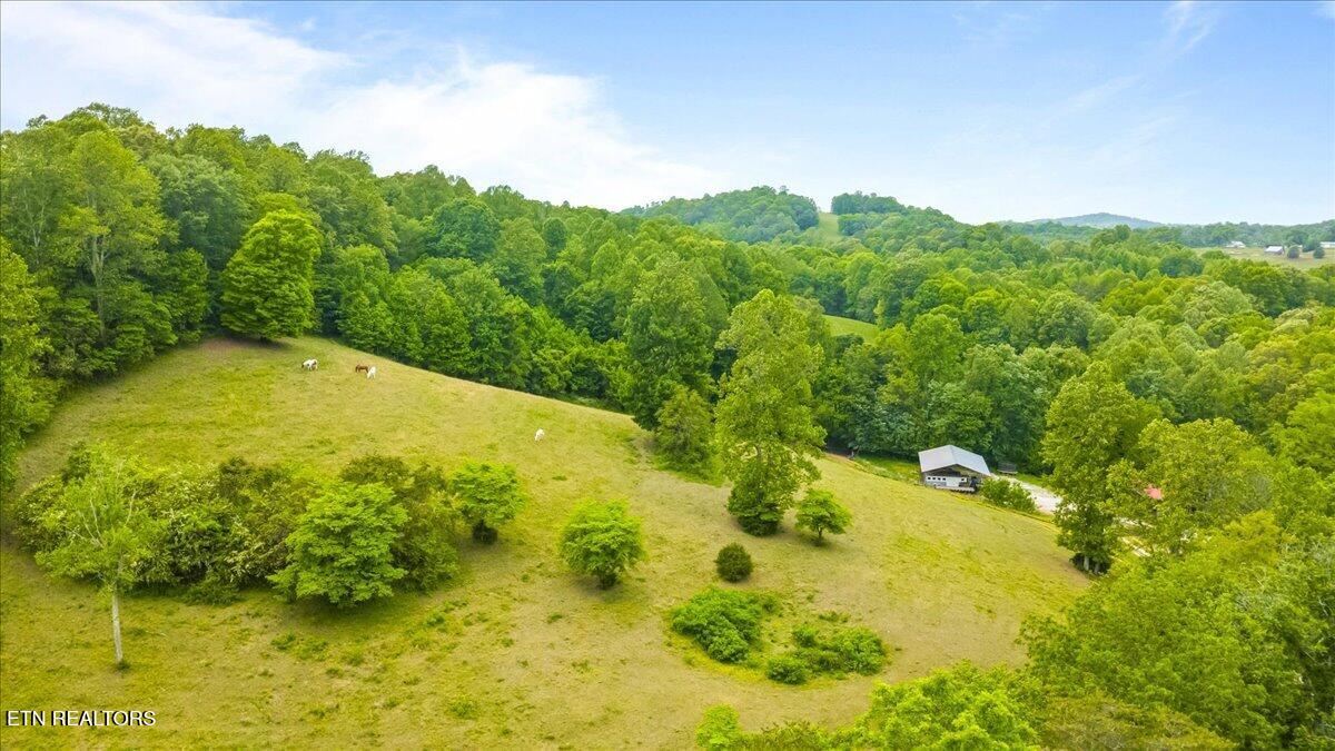 299 Tar Town Hollow Lane Lafollette TN 37766