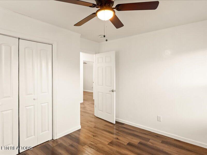 1916 Rosedale Avenue Knoxville TN 37915