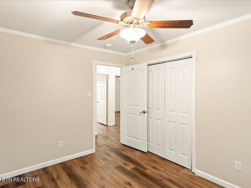 1916 Rosedale Avenue Knoxville TN 37915