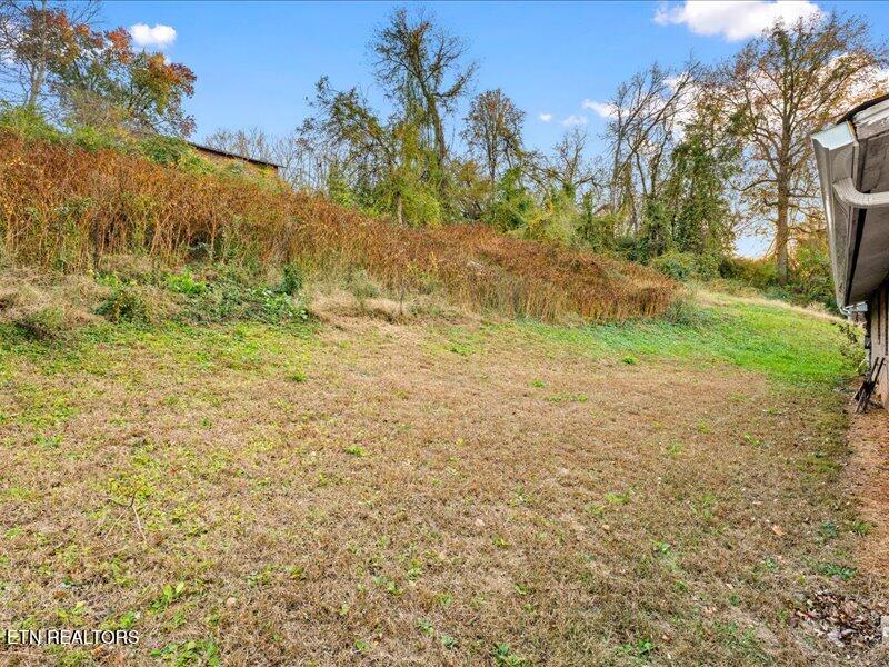 1916 Rosedale Avenue Knoxville TN 37915