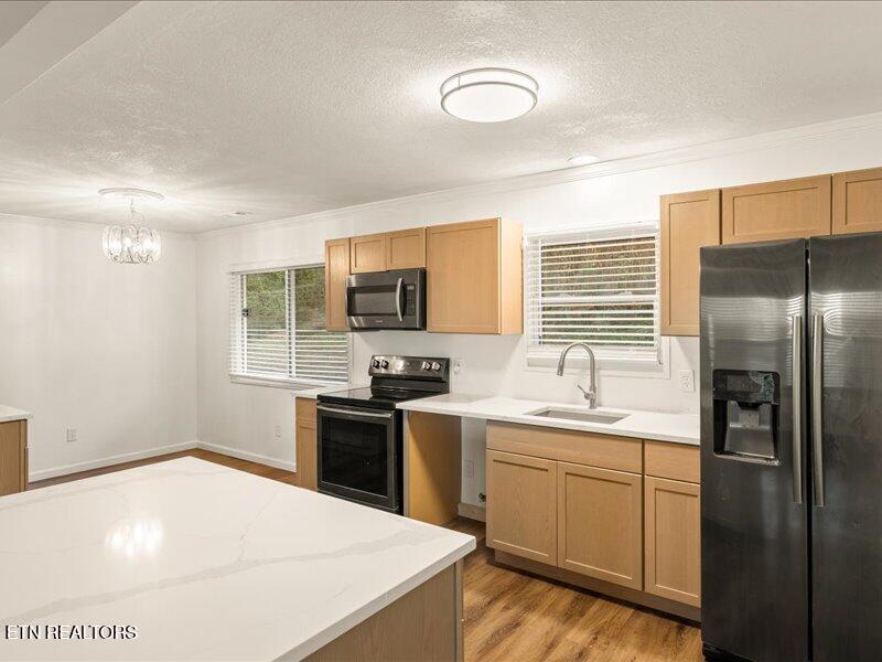 1916 Rosedale Avenue Knoxville TN 37915