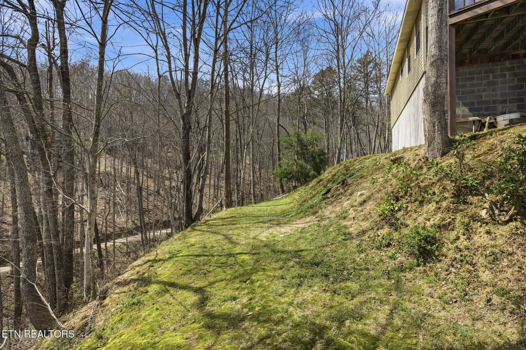 3132 Wears Overlook Lane Sevierville TN 37862