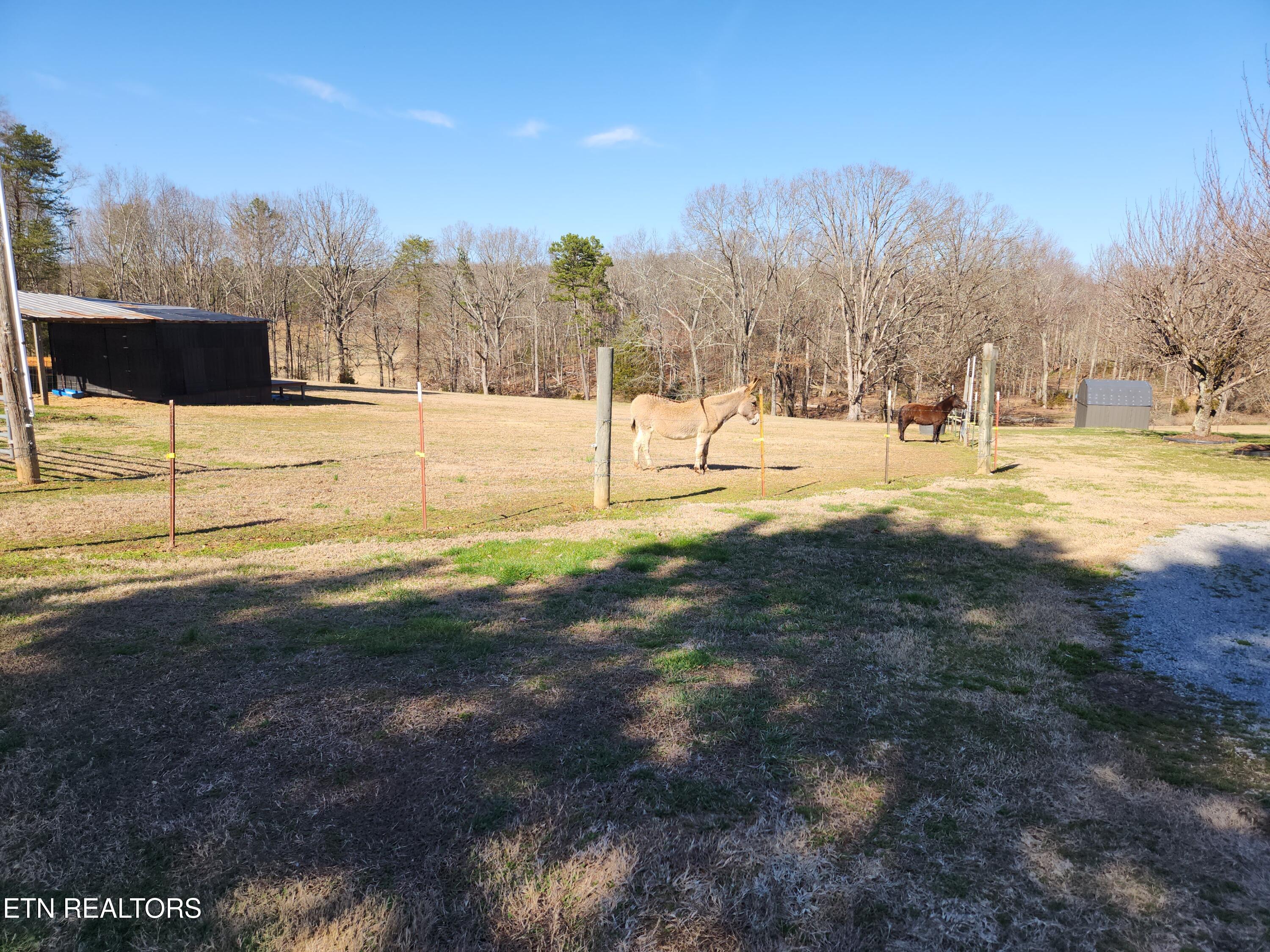 319 County Road 361 Niota TN 37826
