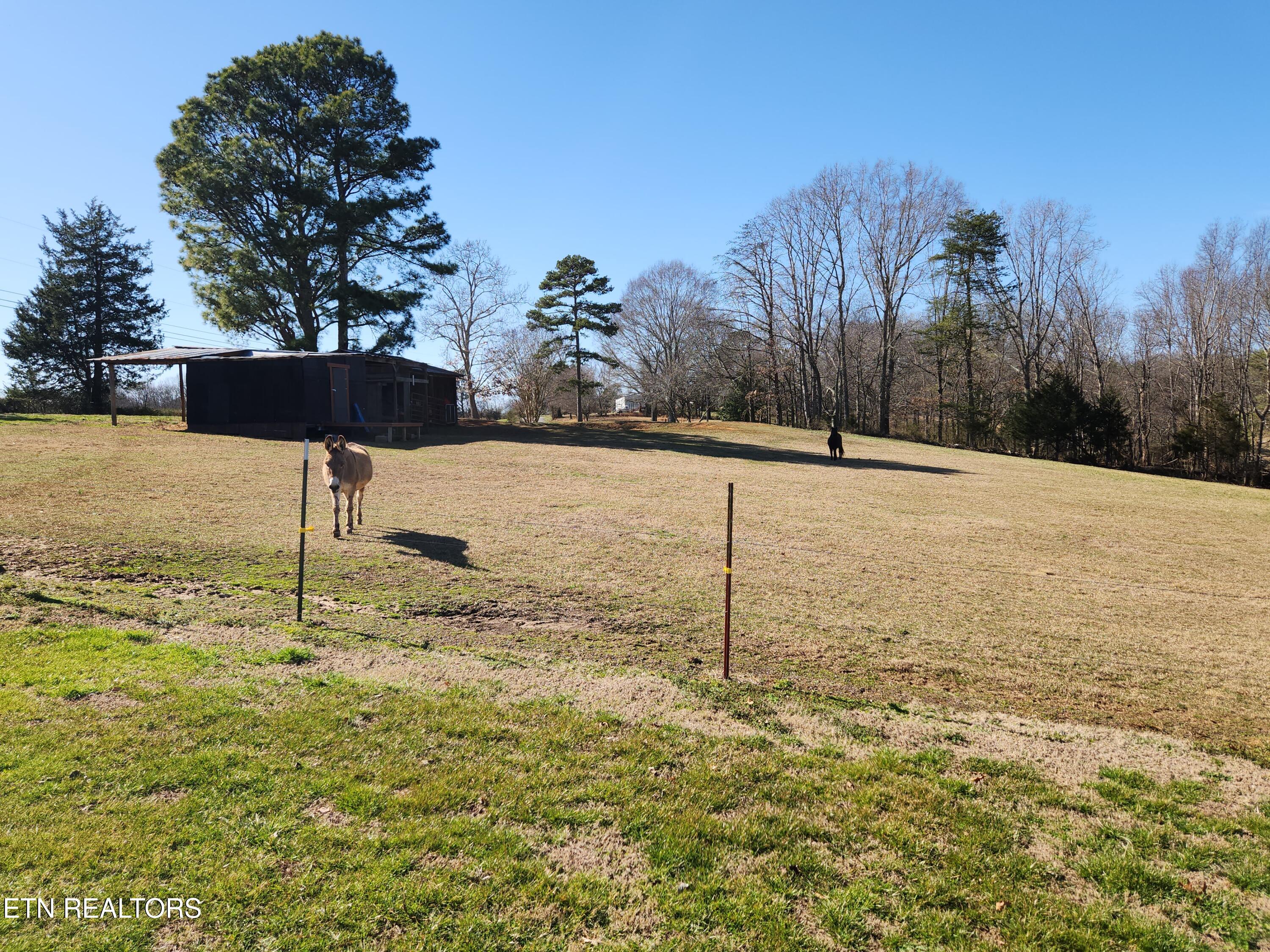 319 County Road 361 Niota TN 37826