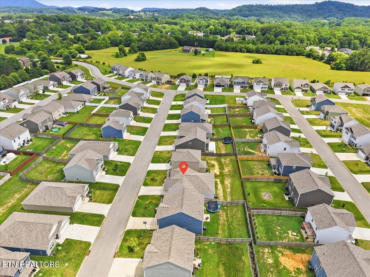 7513 Cottontail Street Corryton TN 37721