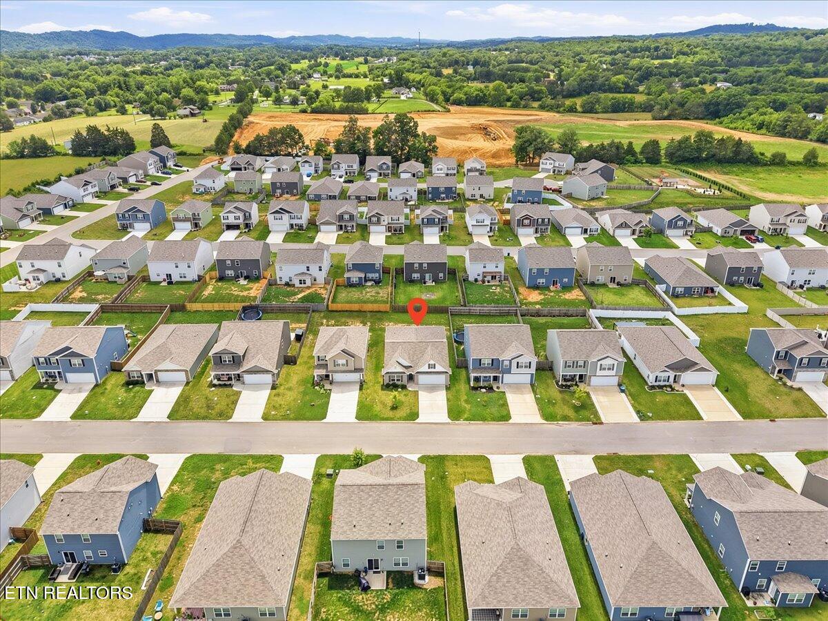 7513 Cottontail Street Corryton TN 37721