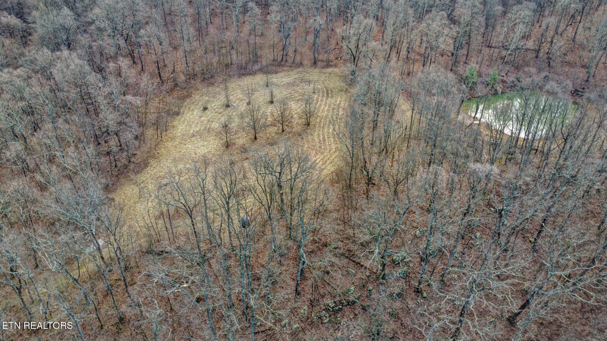 1017 Hinch Mountain Road Crossville TN 38555