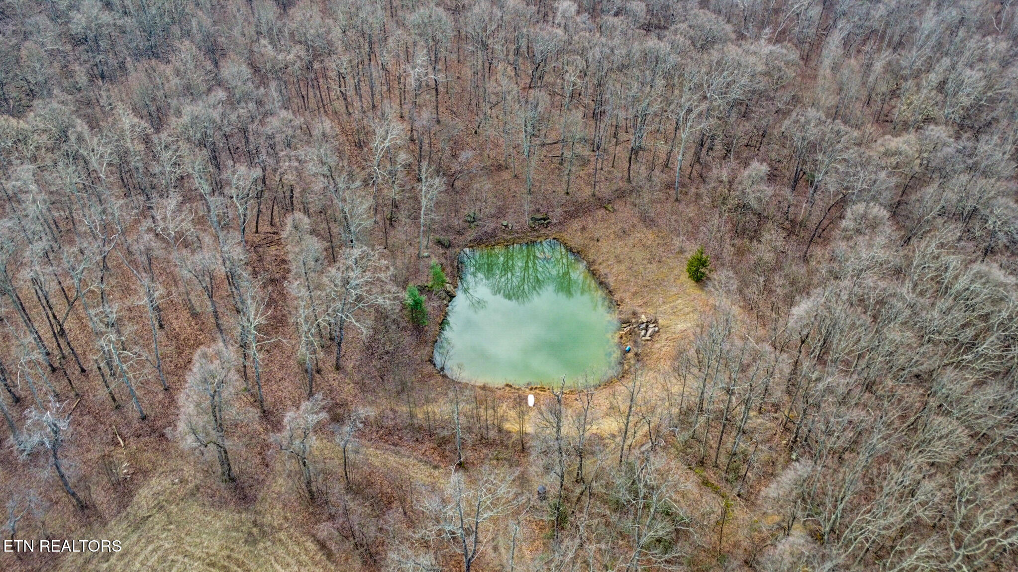 1017 Hinch Mountain Road Crossville TN 38555