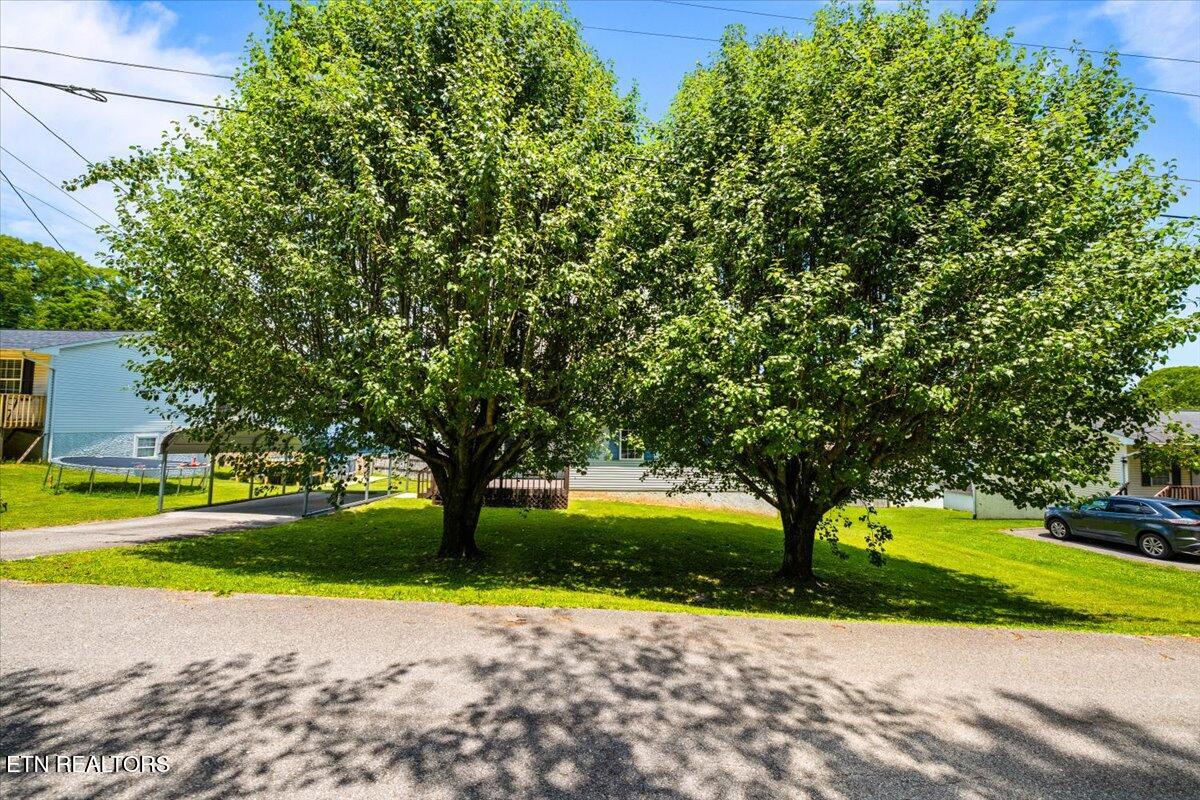 105 Jessica Lane Lafollette TN 37766