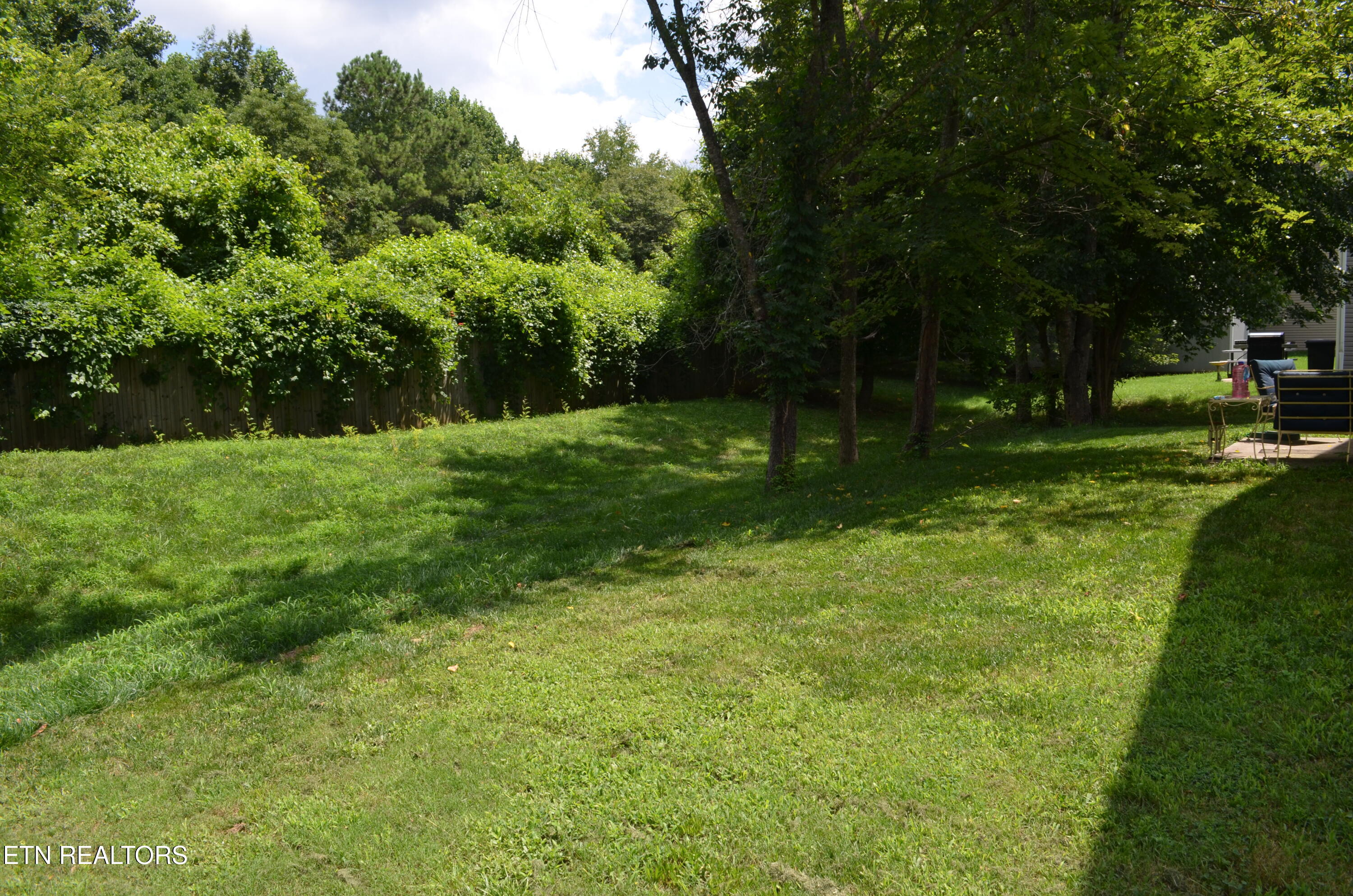 319 Chrysler Lane Powell TN 37849