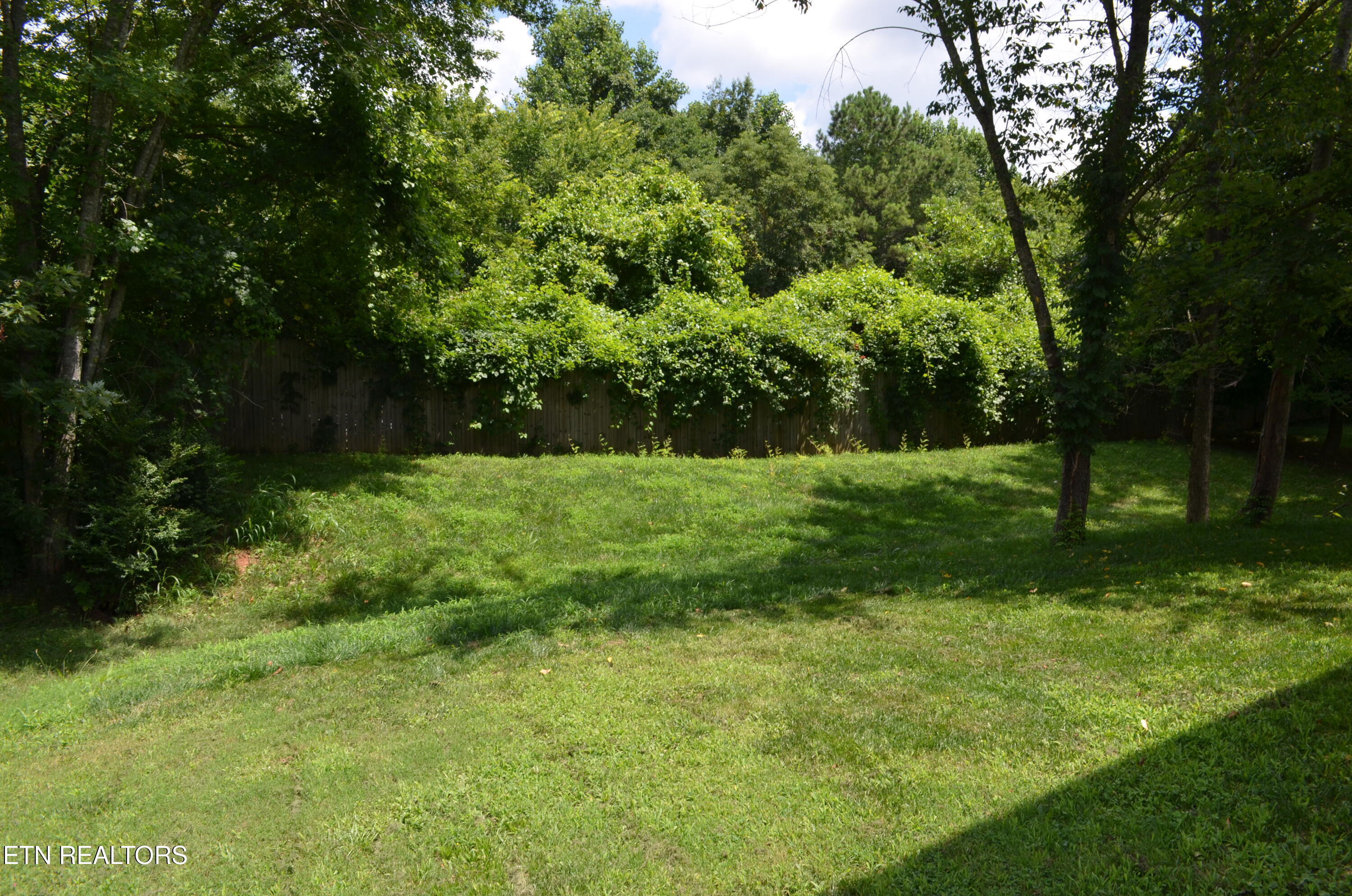 319 Chrysler Lane Powell TN 37849