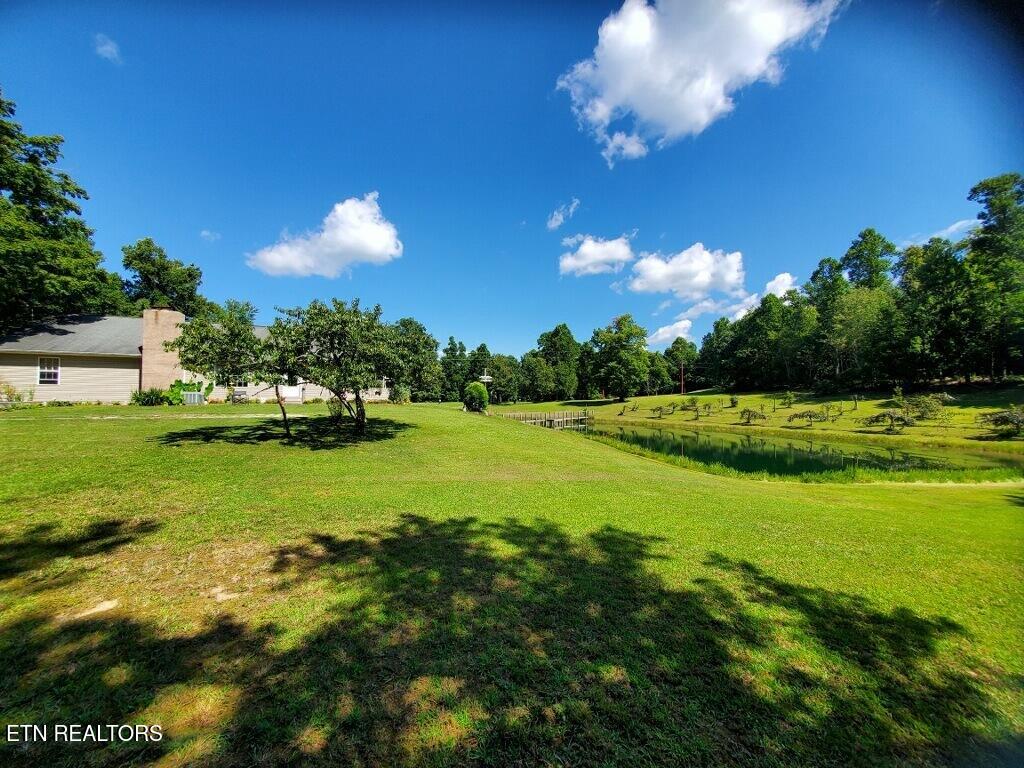 439 Elvira Lane Winfield TN 37892