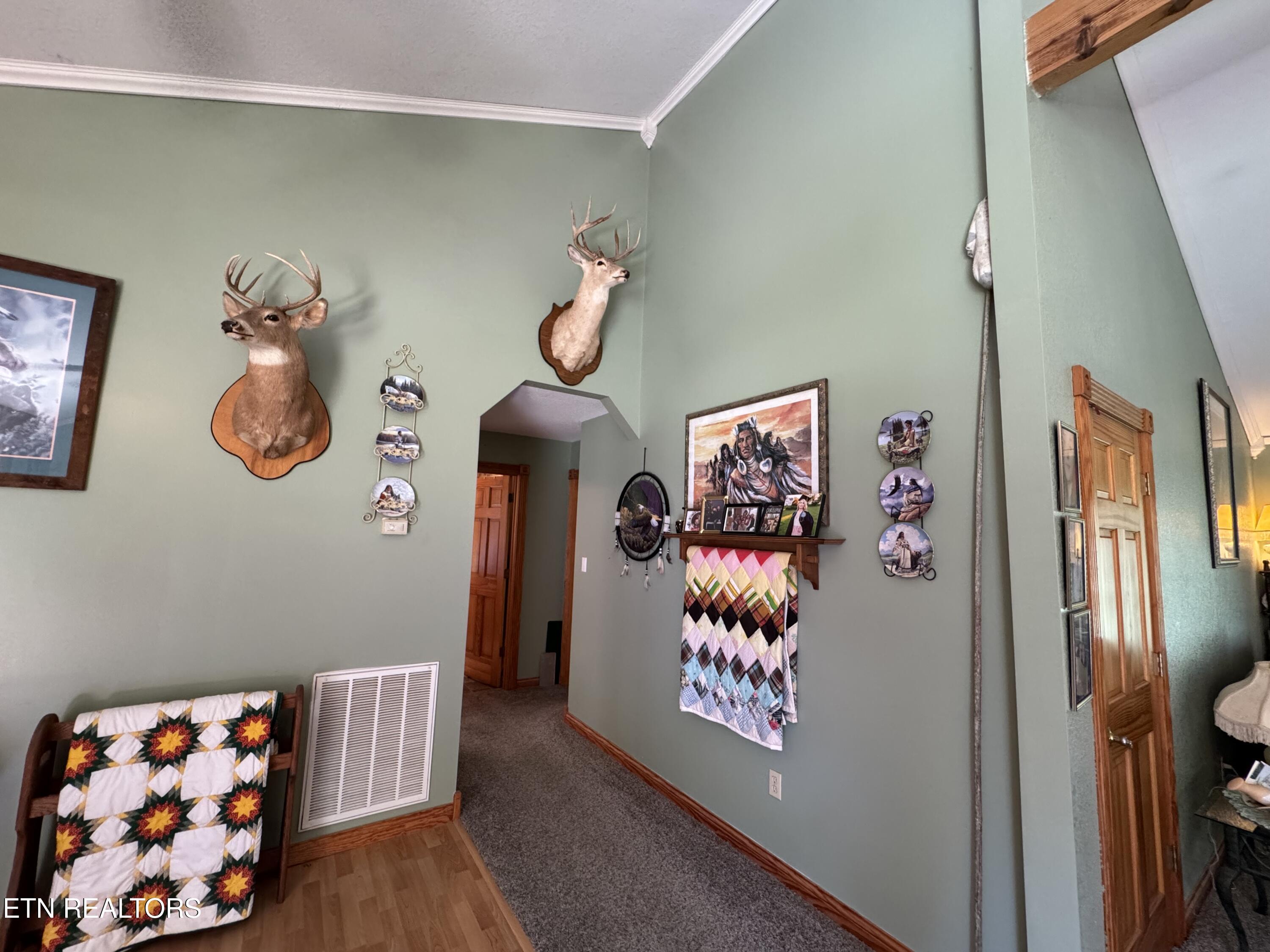 439 Elvira Lane Winfield TN 37892