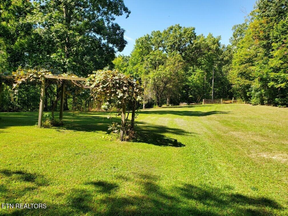 439 Elvira Lane Winfield TN 37892