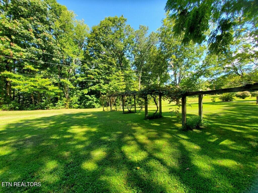 439 Elvira Lane Winfield TN 37892