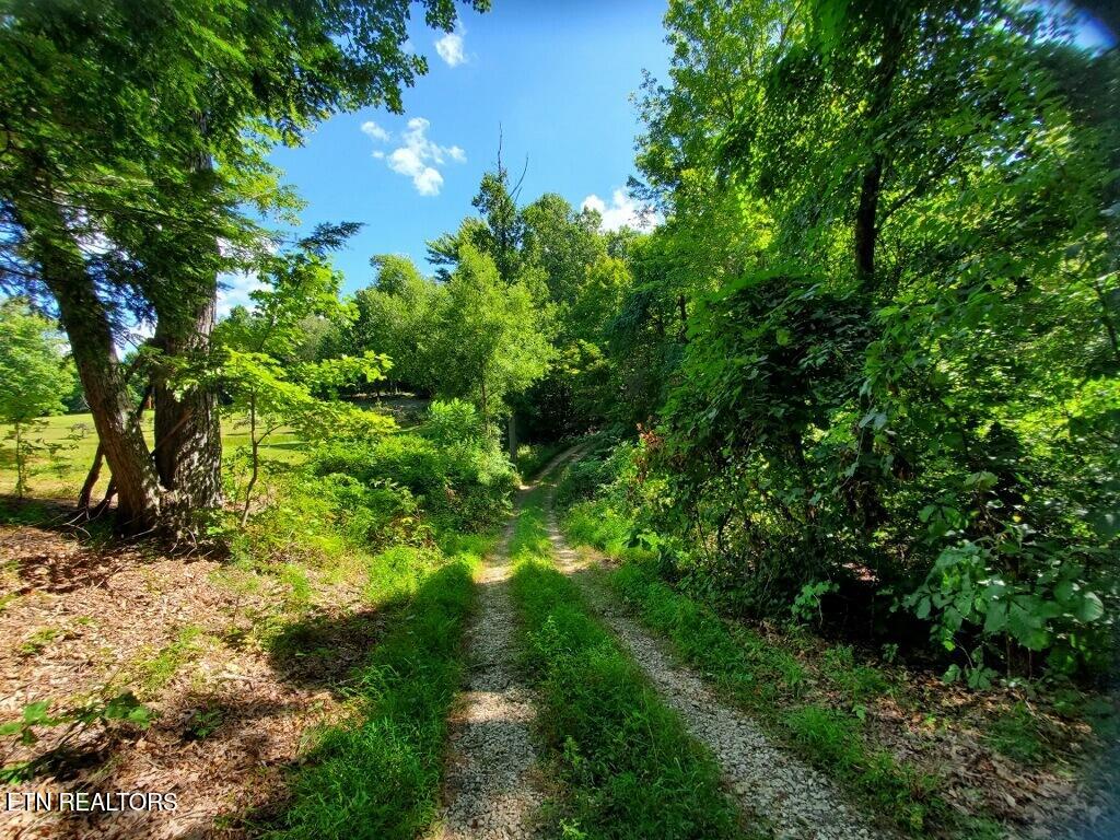 439 Elvira Lane Winfield TN 37892