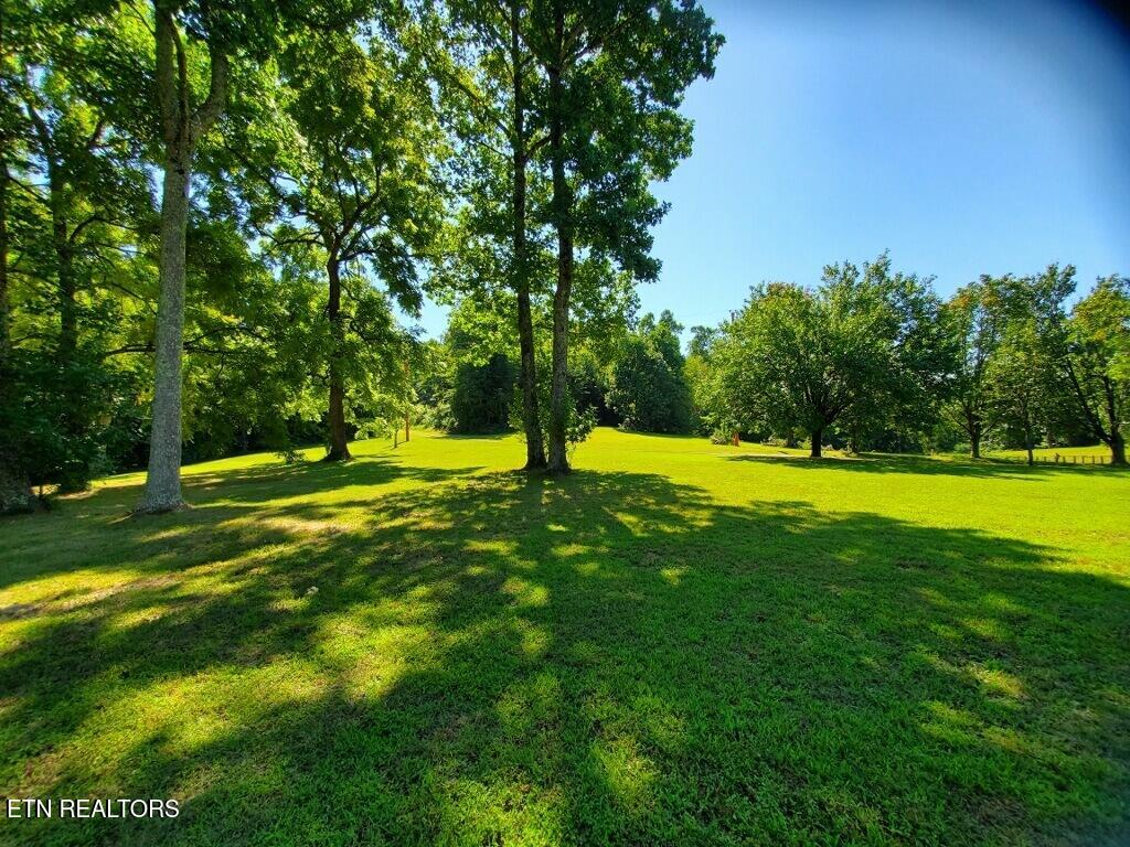 439 Elvira Lane Winfield TN 37892