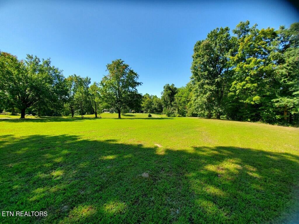 439 Elvira Lane Winfield TN 37892