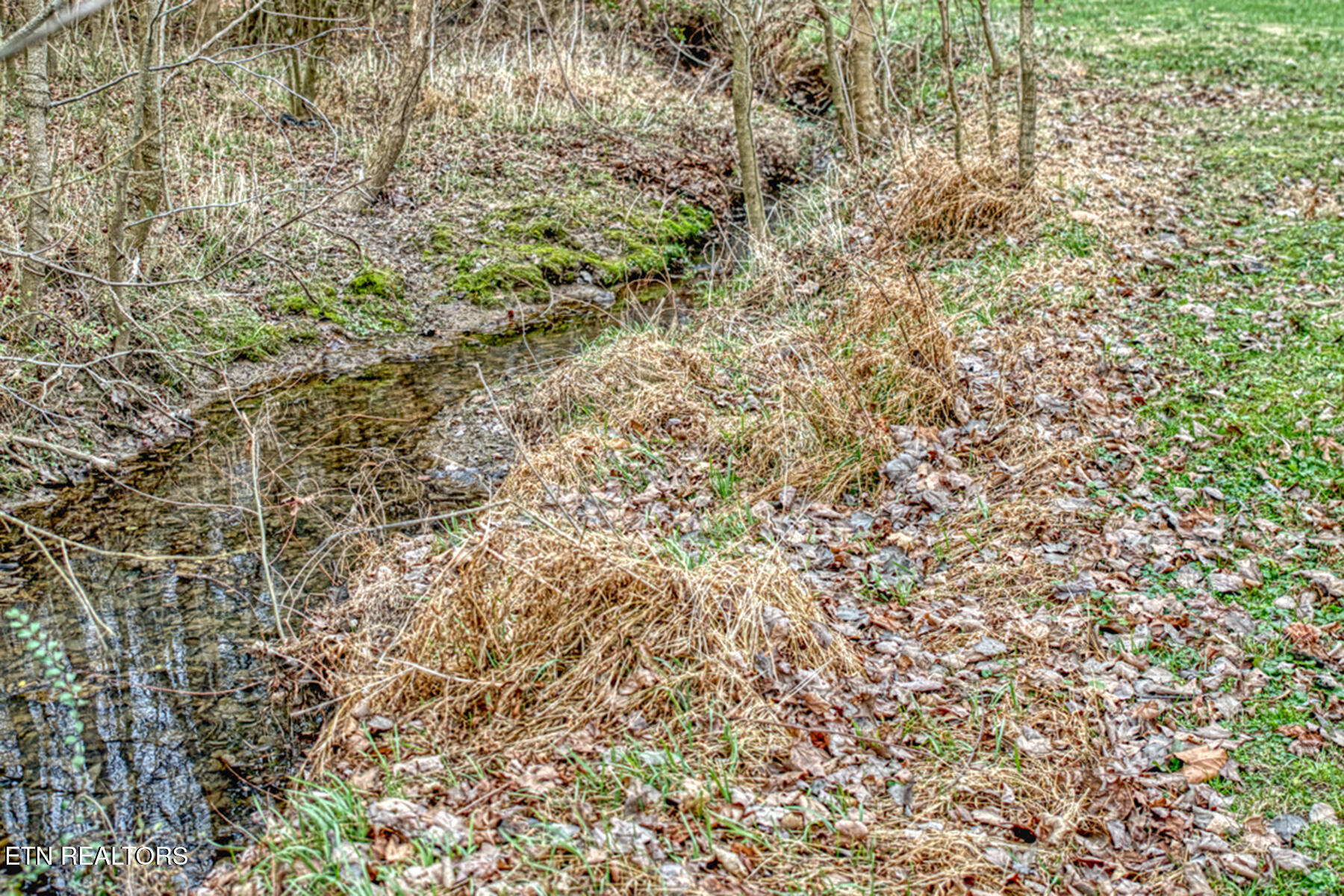 317 Taylor Circle Cookeville TN 38506