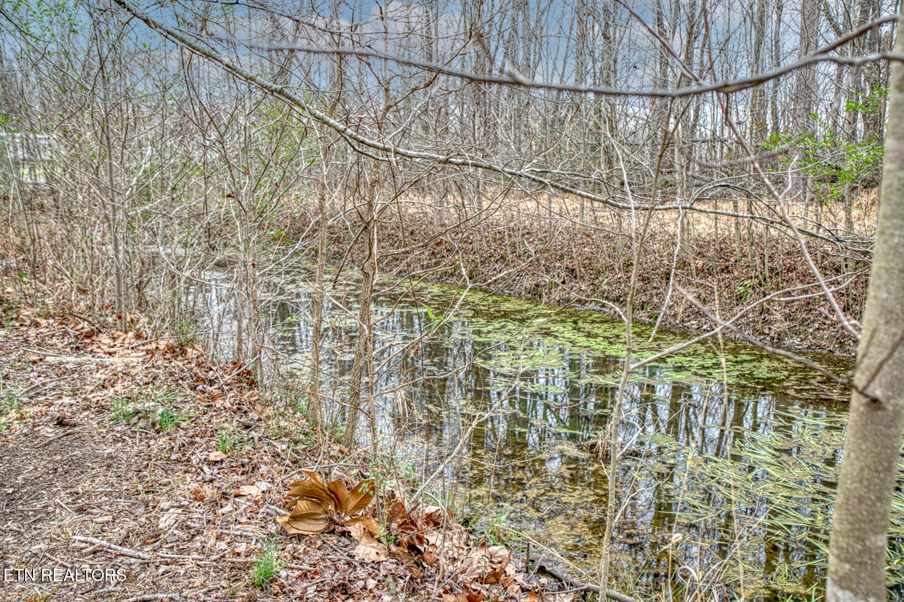 317 Taylor Circle Cookeville TN 38506