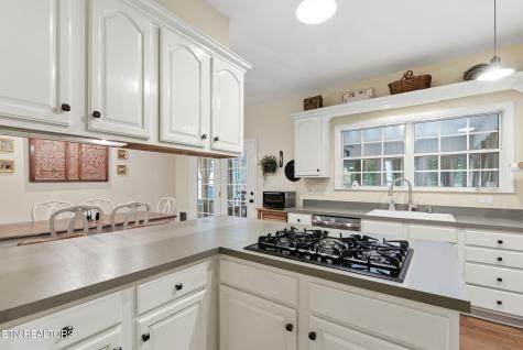 245 Rocky Top Road Luttrell TN 37779