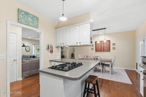 245 Rocky Top Road Luttrell TN 37779