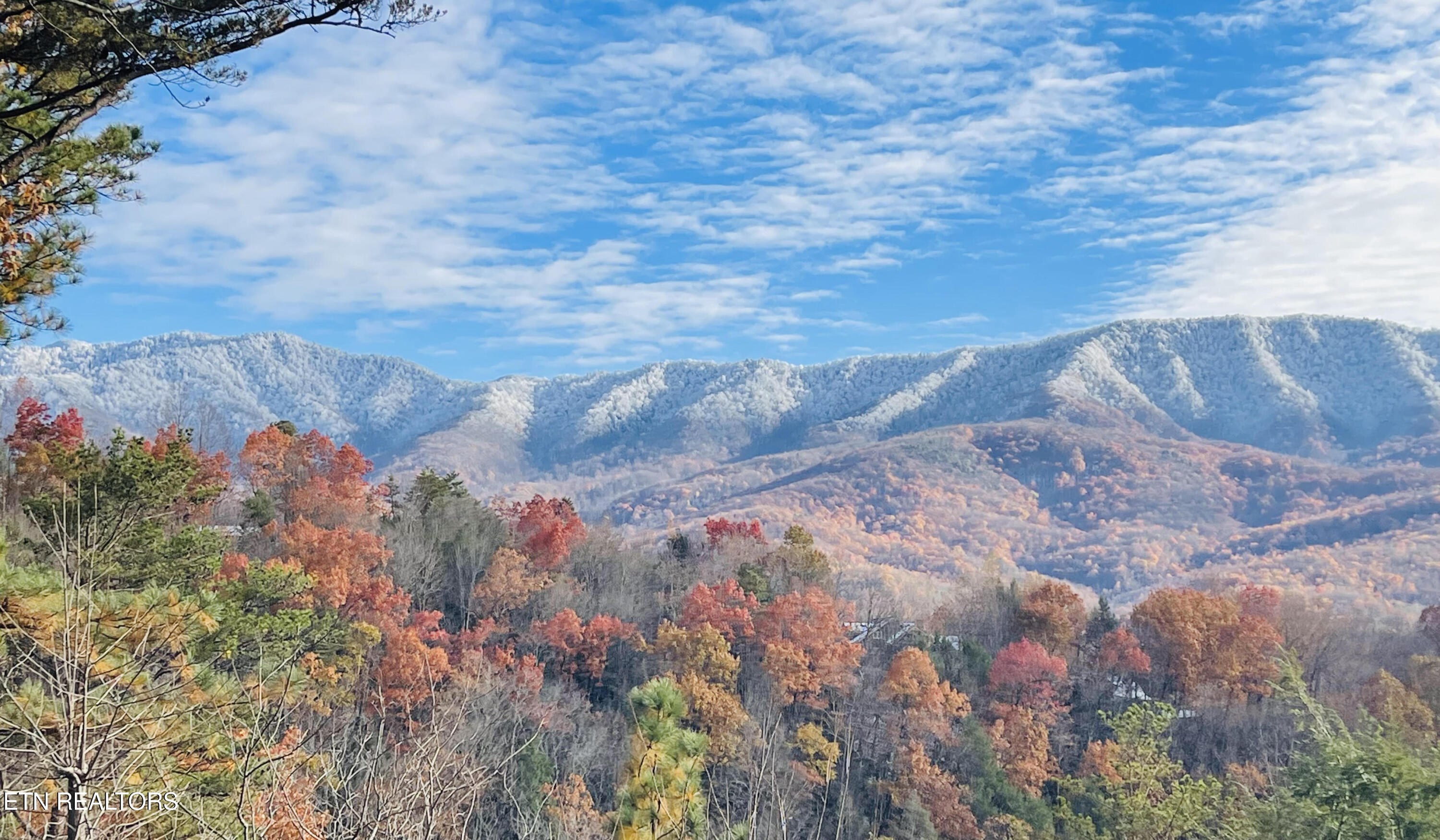 939 Vixen Run Gatlinburg TN 37738