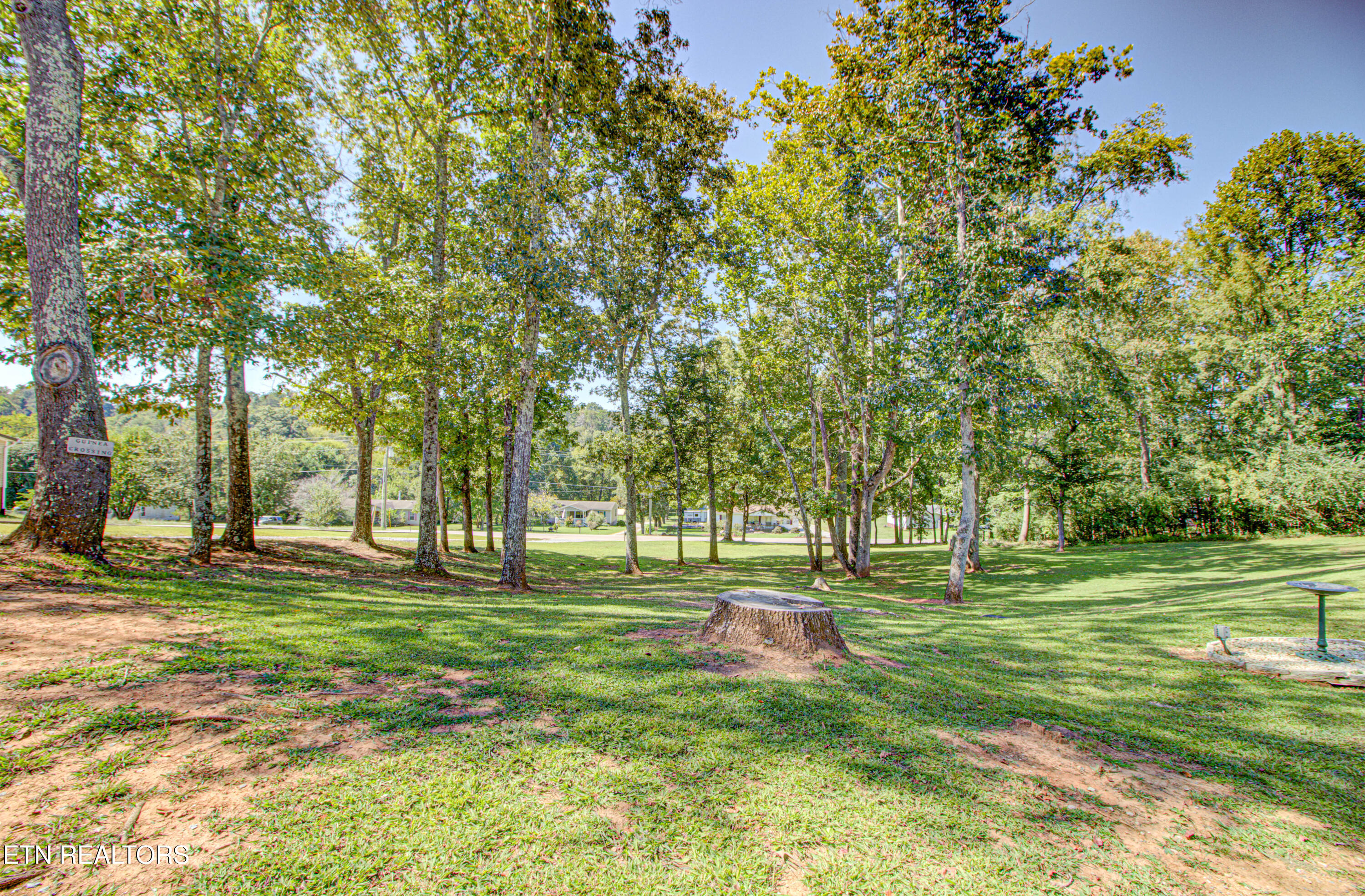 925 Cloyds Church Road Greenback TN 37742
