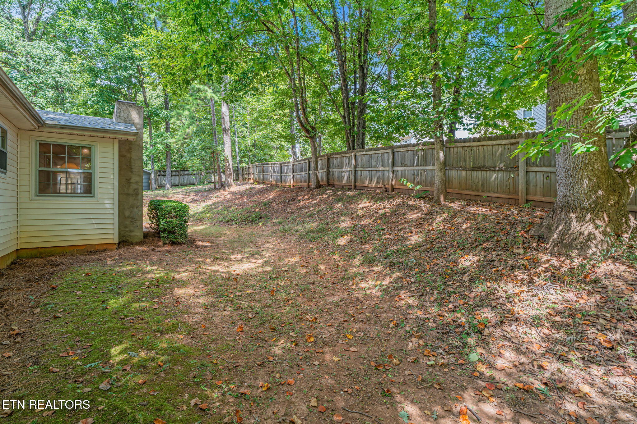 1804 Pinoak Court Knoxville TN 37923