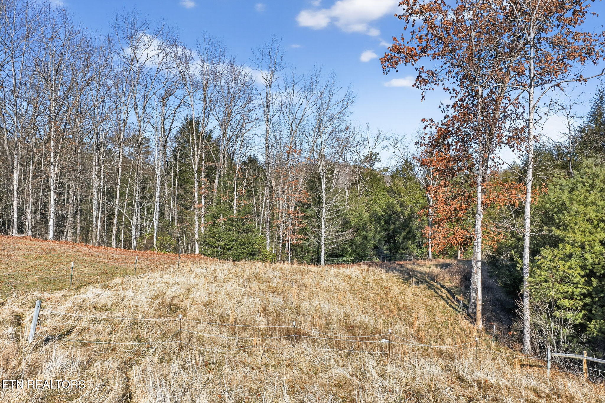 140 Cherry Ridge Road Jamestown TN 38556