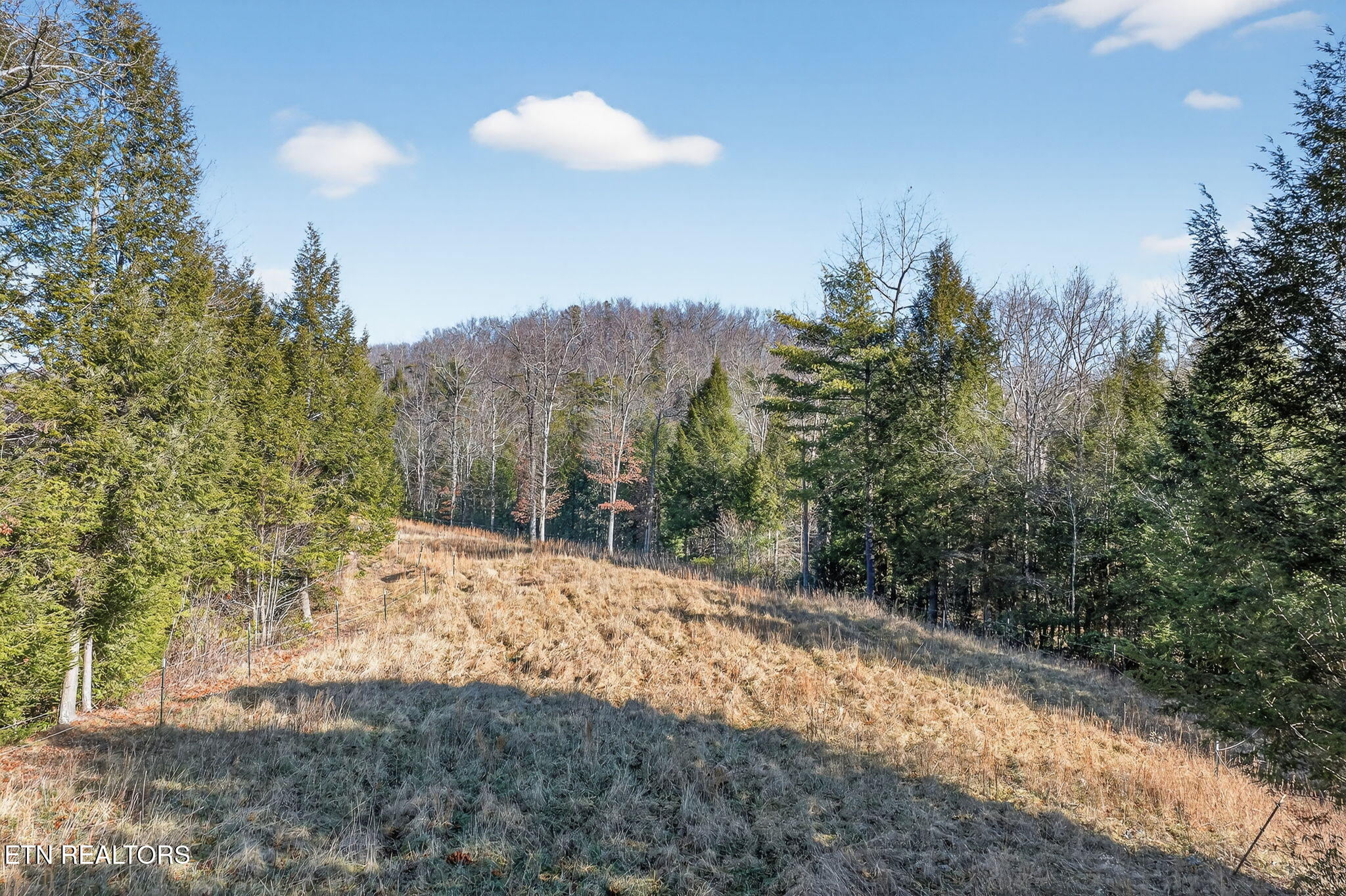 140 Cherry Ridge Road Jamestown TN 38556
