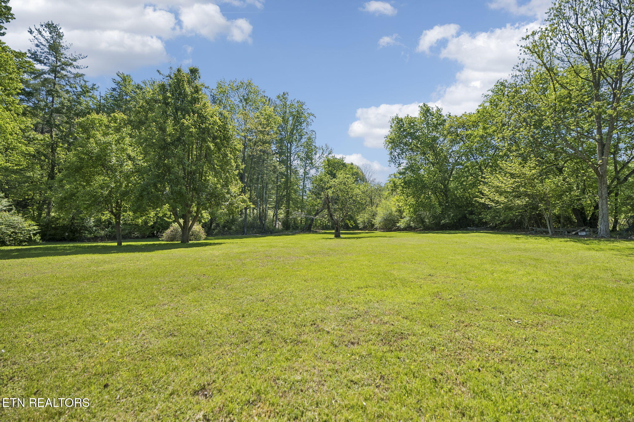 123 Greasy Cove Road Cosby TN 37722