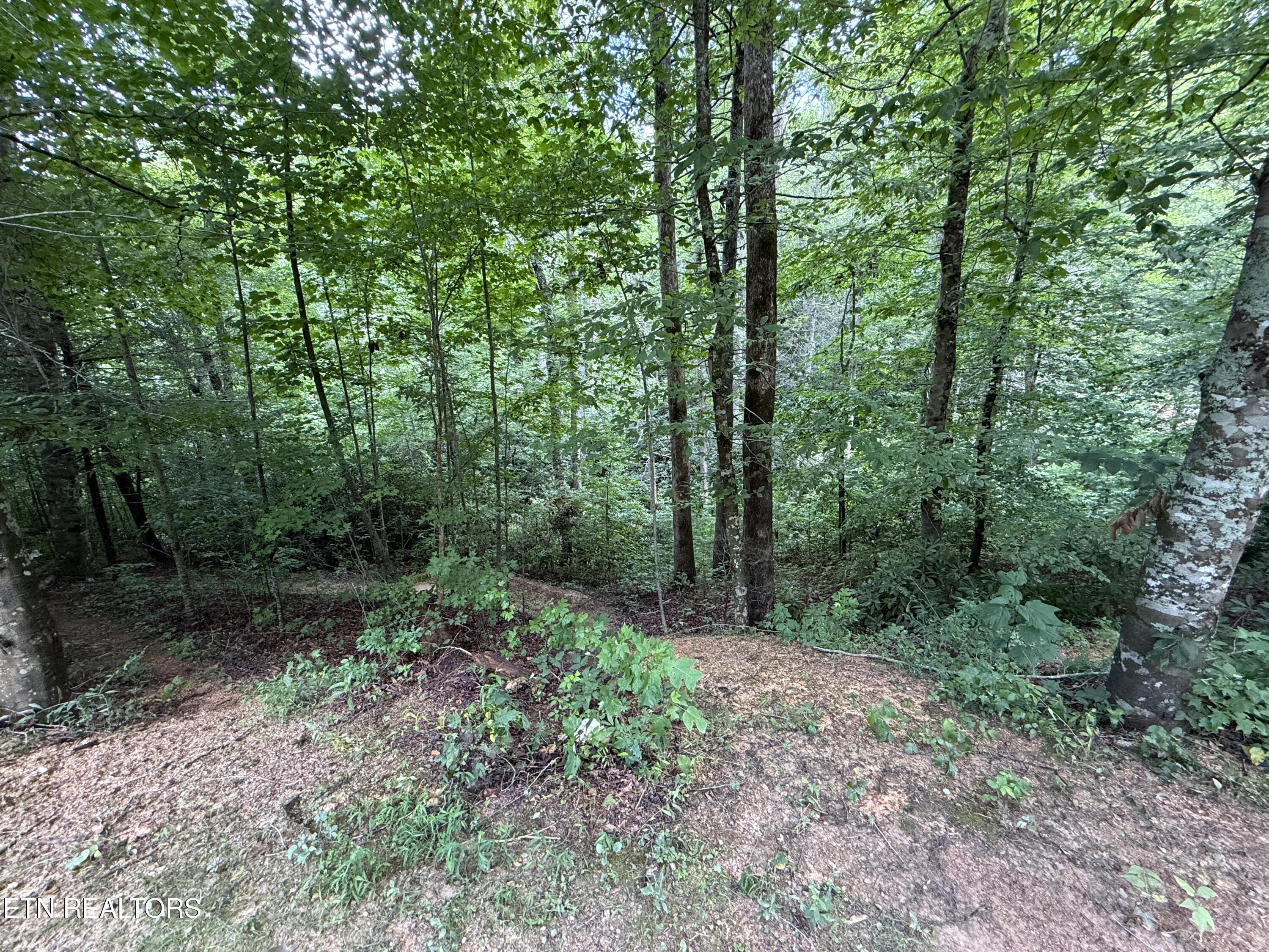 438 Country Square Road Newport TN 37821