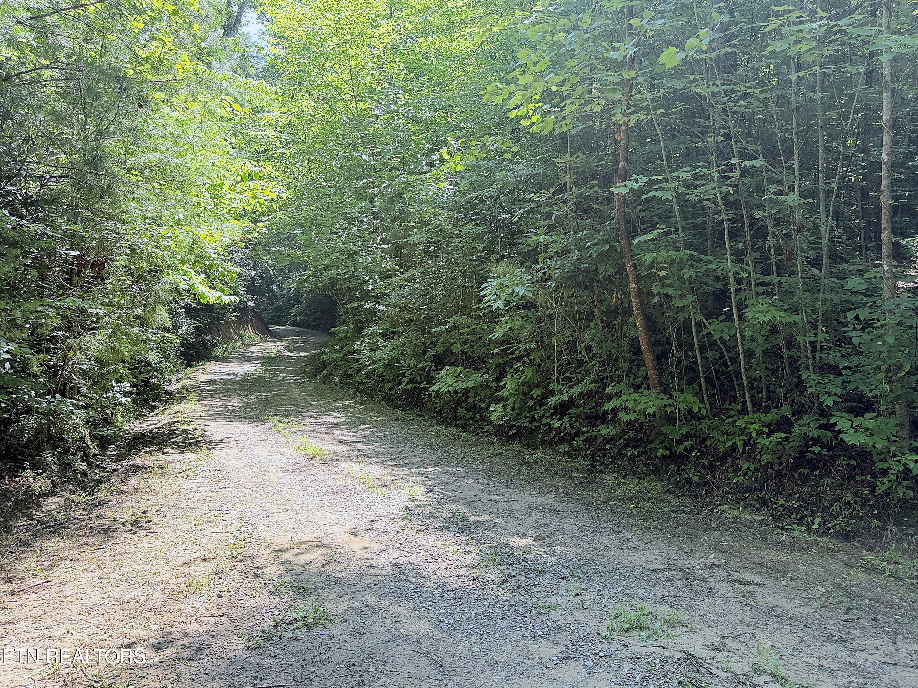 438 Country Square Road Newport TN 37821