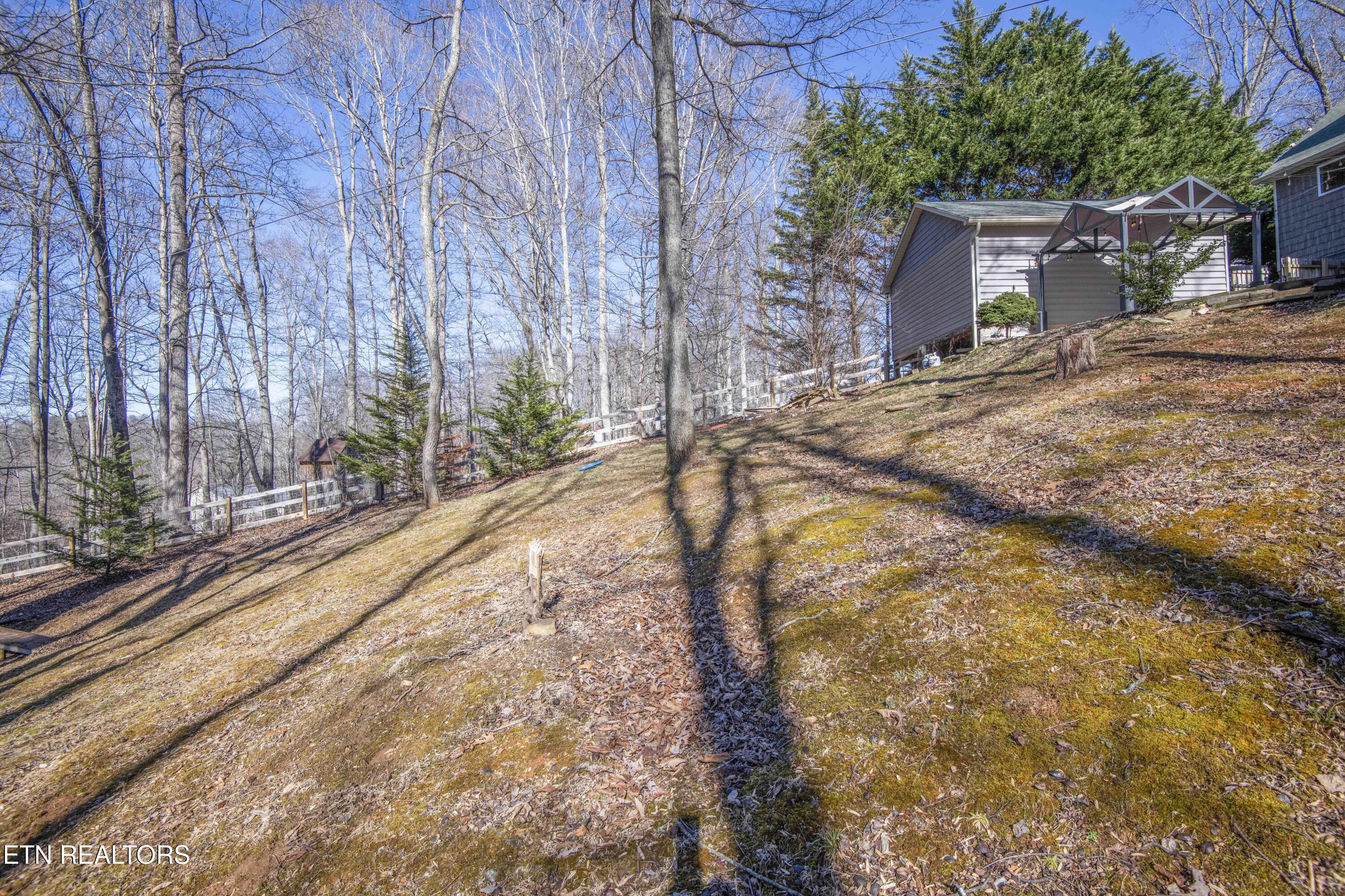 231 Mountain Lake Drive Rocky Top TN 37769