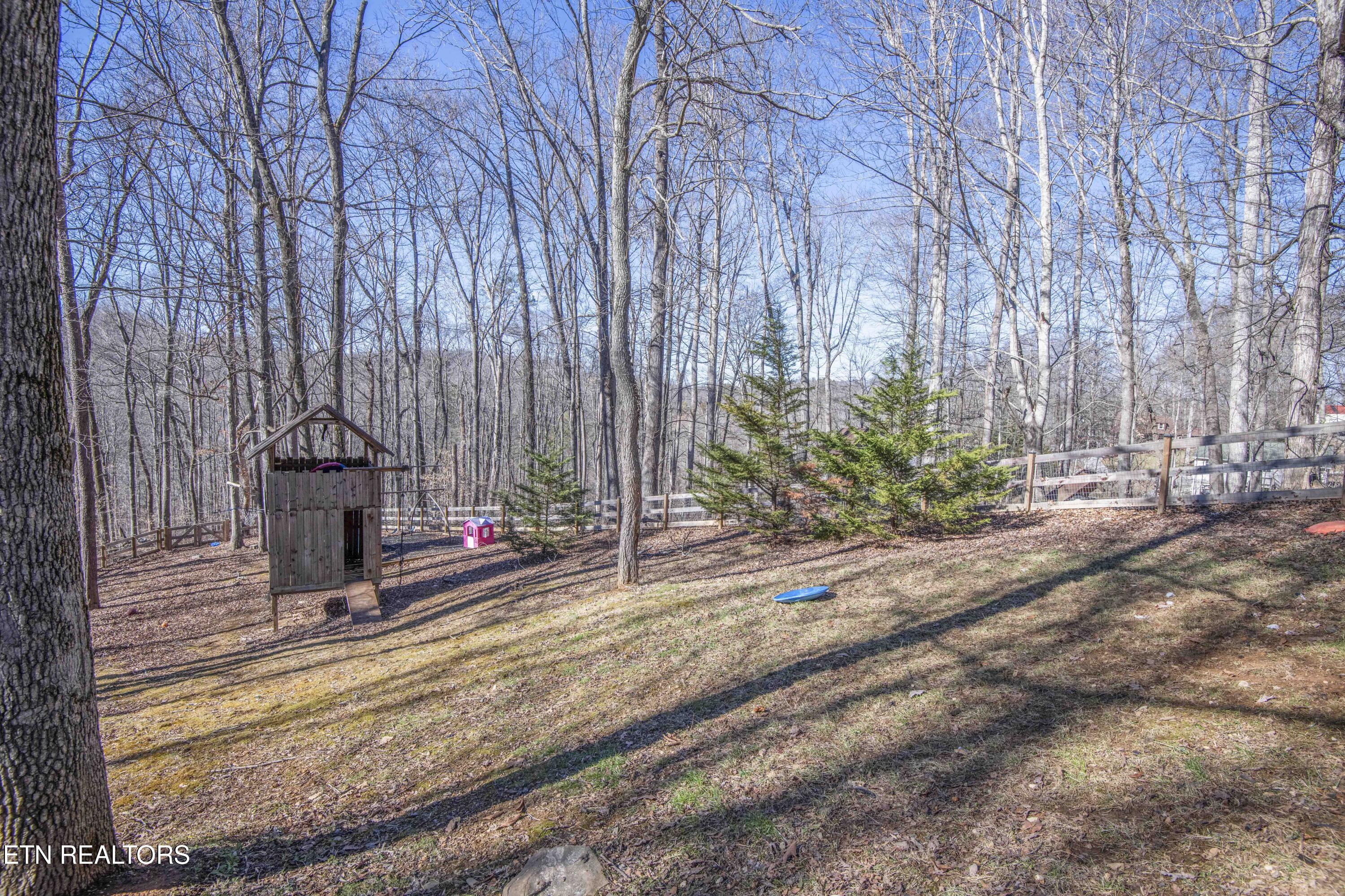 231 Mountain Lake Drive Rocky Top TN 37769
